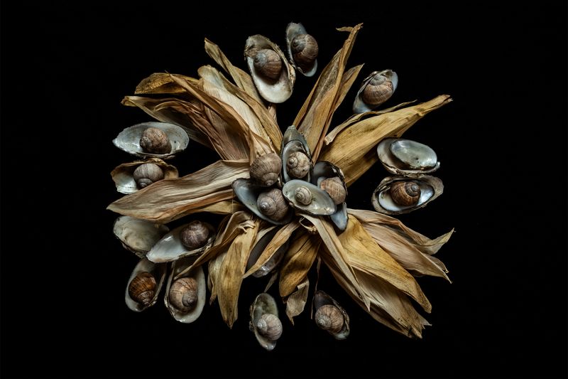 © Anne Ackermann - Childhood Ensemble. 2020