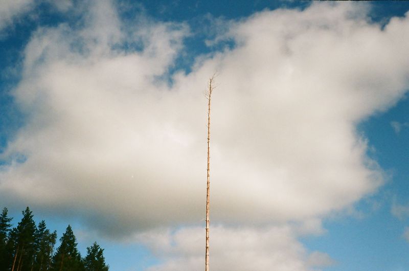 © Magdalena Malinowska - Image from the Kokko (working title) photography project