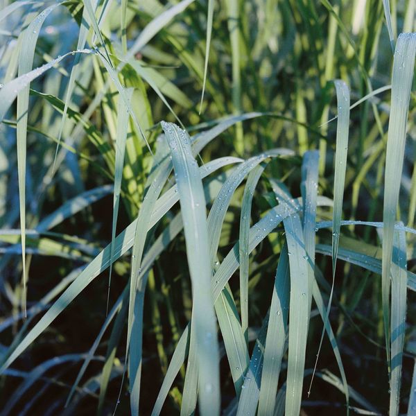 © Magdalena Malinowska - Image from the I will not give you birth / From one mother to another. photography project
