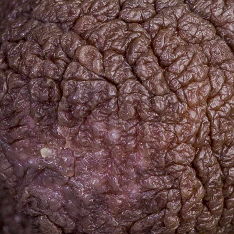 © Berglind Rögnvaldsdóttir - Image from the Uncensored photography project