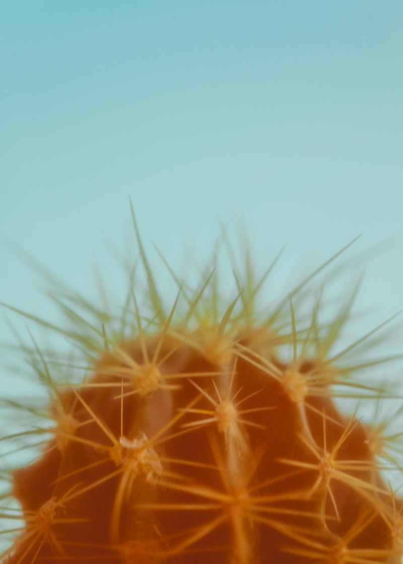 © Berglind Rögnvaldsdóttir - Image from the Móa photography project