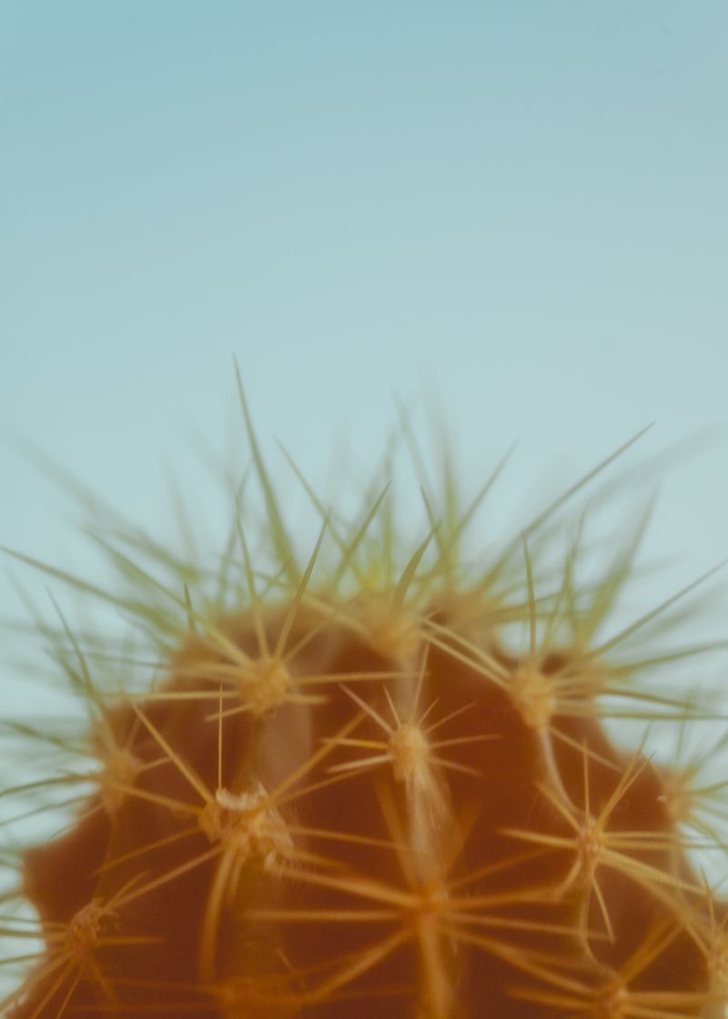 © Berglind Rögnvaldsdóttir - Image from the Móa photography project