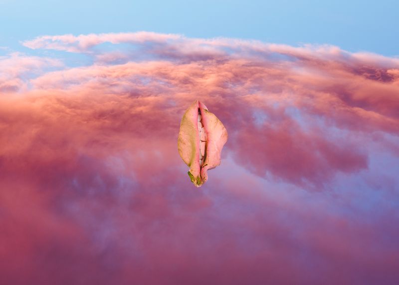 © Berglind Rögnvaldsdóttir - Maneater