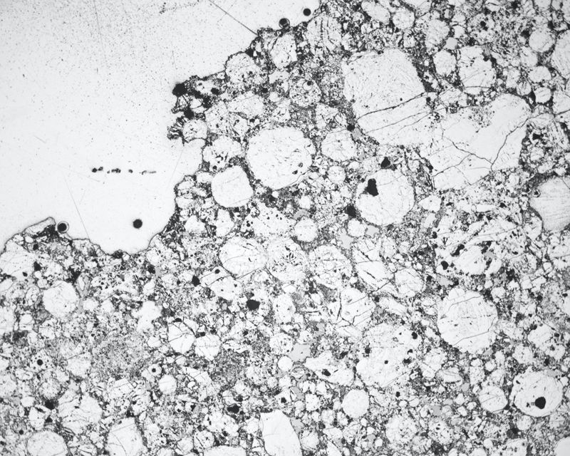 © Emilia Martin - the map, an archival microscopic image