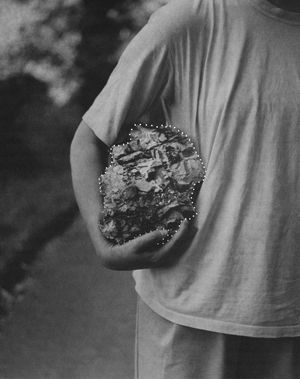 I saw a tree bearing stones in the place of apples and pears