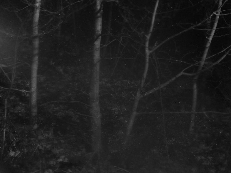 © Emilia Martin - Image from the I Saw A Tree Bearing Stones In A Place Of Apples And Pears photography project