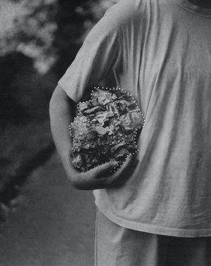 I Saw A Tree Bearing Stones In A Place Of Apples And Pears