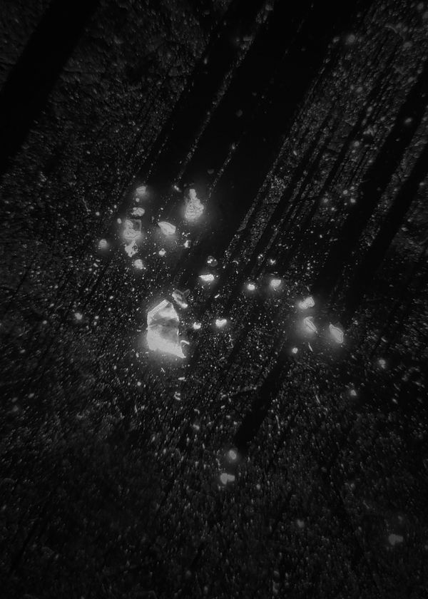 © Emilia Martin - Image from the I saw a tree bearing stones in the place of apples and pears photography project