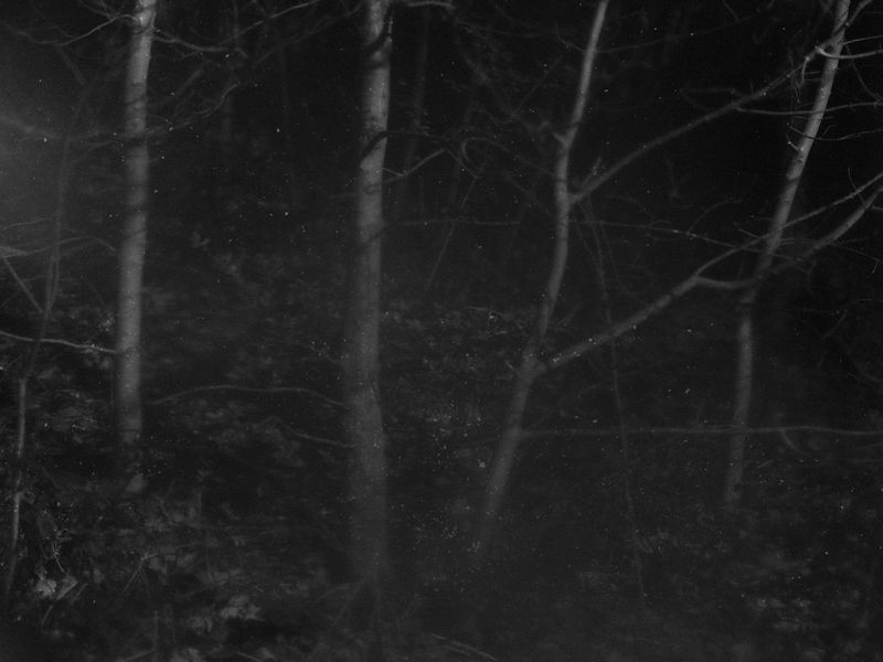 © Emilia Martin - Image from the I saw a tree bearing stones in the place of apples and pears photography project