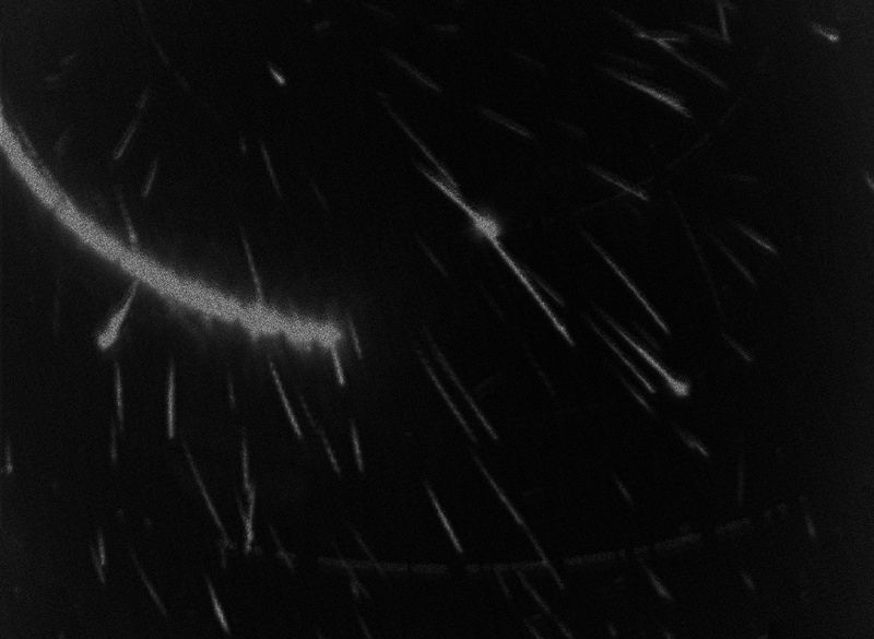 © Emilia Martin - Image from the I saw a tree bearing stones in the place of apples and pears photography project