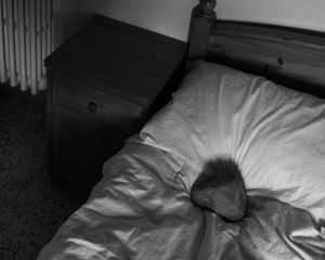 I saw a tree bearing stones in the place of apples and pears