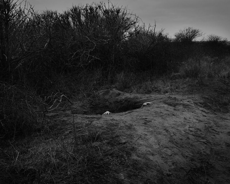 © Emilia Martin - Image from the I saw a tree bearing stones in the place of apples and pears photography project