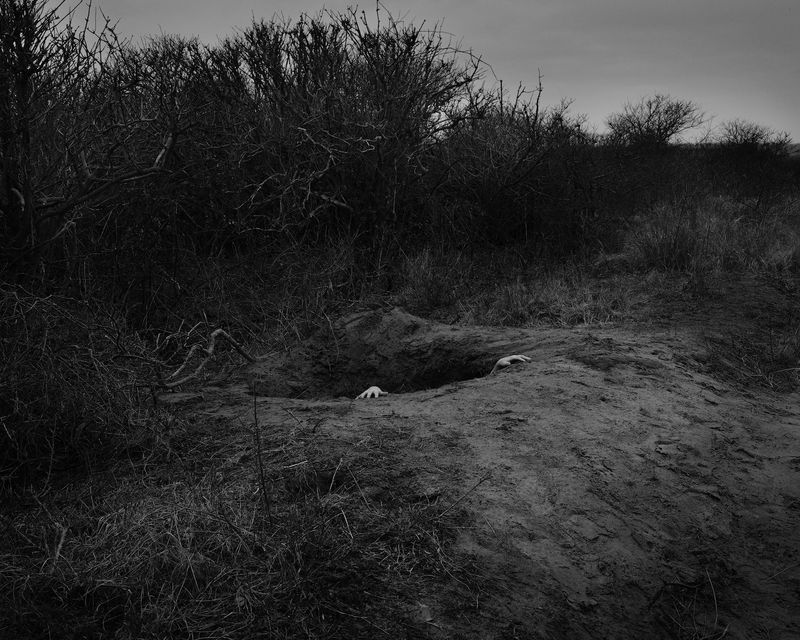 © Emilia Martin - Image from the I saw a tree bearing stones in the place of apples and pears photography project