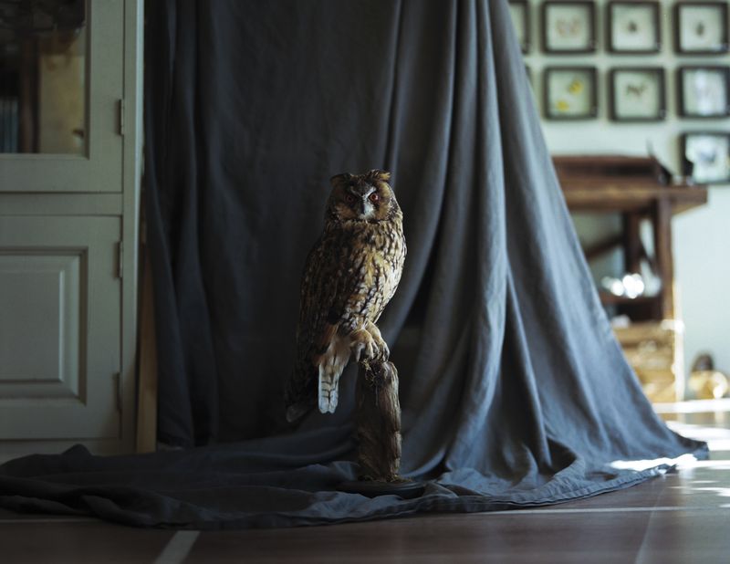 © Emilia Martin - Image from the Far from here, where darkness lies photography project