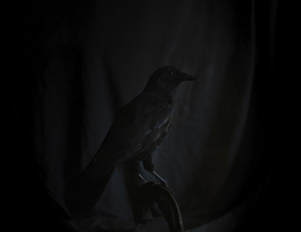 © Emilia Martin - Image from the Far from here, where darkness lies photography project