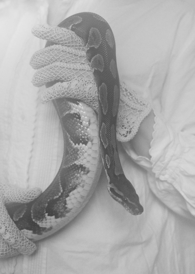 © Emilia Martin - Image from the The serpent's thread photography project