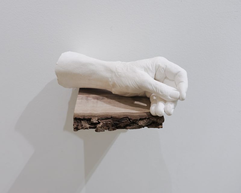 © Emilia Martin - “the thread”, gypsum acrylic casted sculpture on the raw oak shelf, 2025