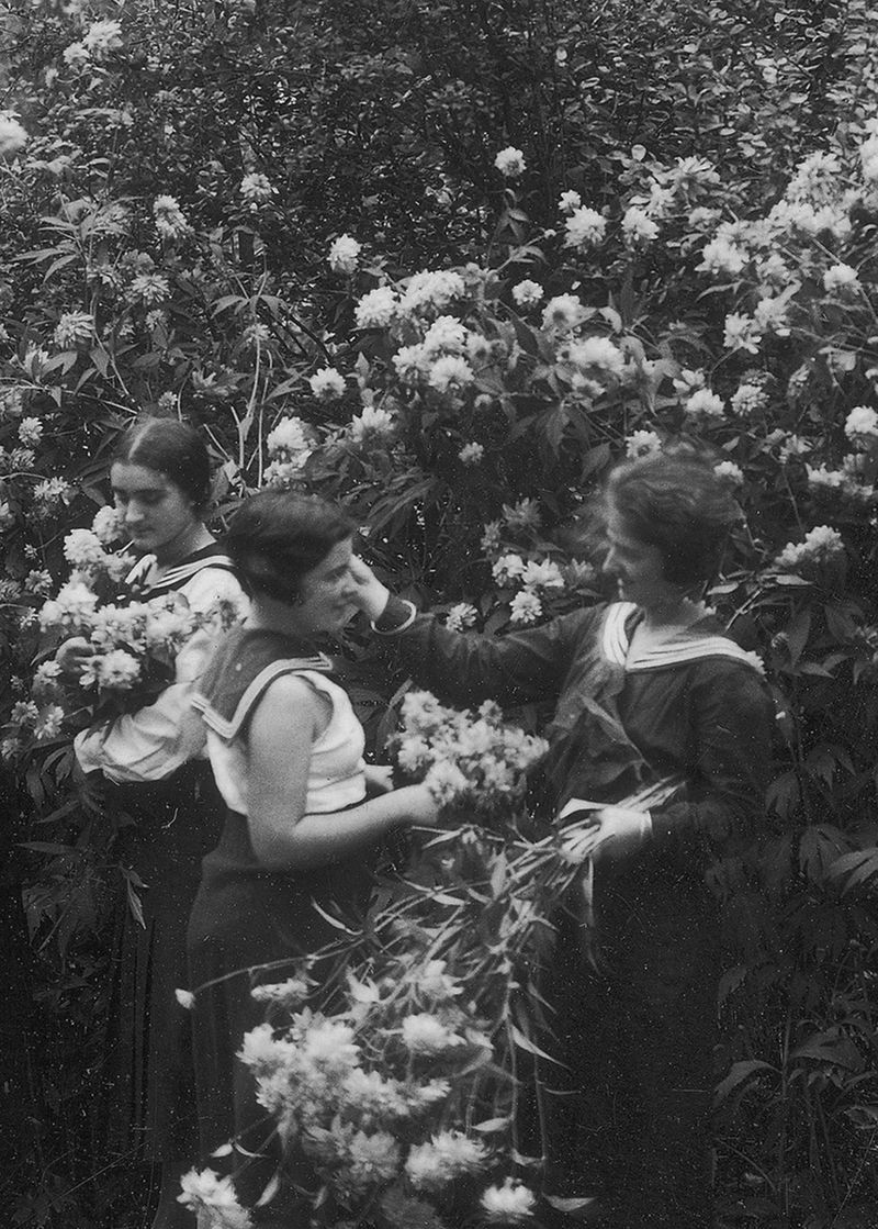 © Emilia Martin - Image from the The serpent's thread photography project