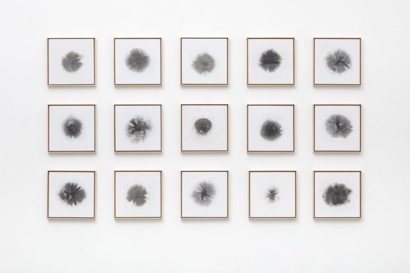 © Máté Dobokay - Image from the Ag photography project