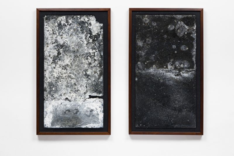 © Máté Dobokay - Image from the Ag photography project