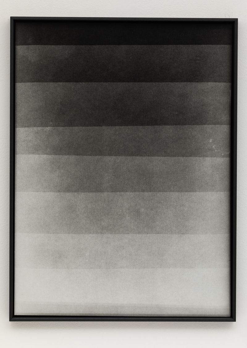 © Máté Dobokay - Test Strips