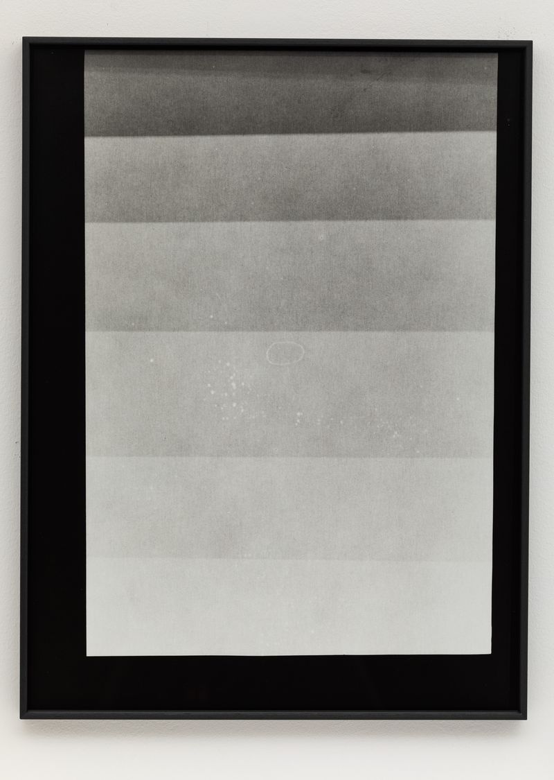 © Máté Dobokay - Test Strips