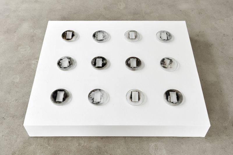 © Máté Dobokay - Silver on Glass (Petri dish)