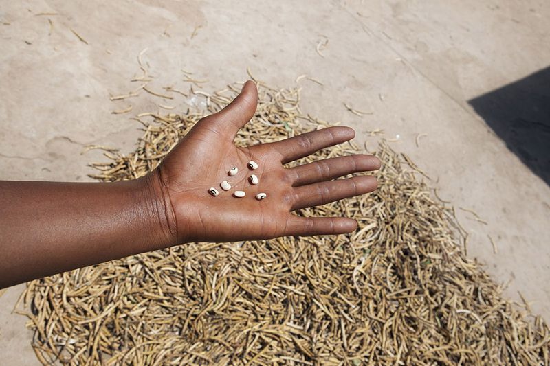 © Federica Landi - Pargou village, Burkina Faso