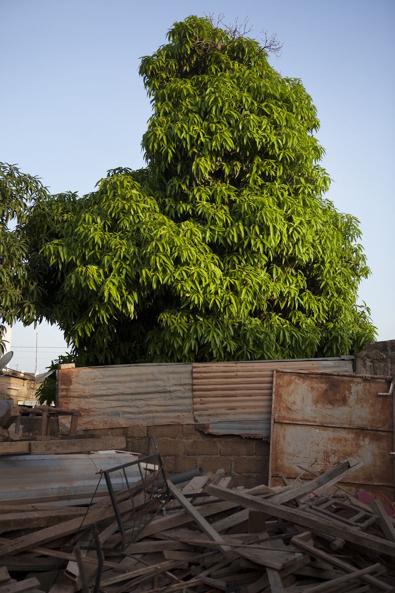 © Federica Landi - Pargou village, Burkina Faso