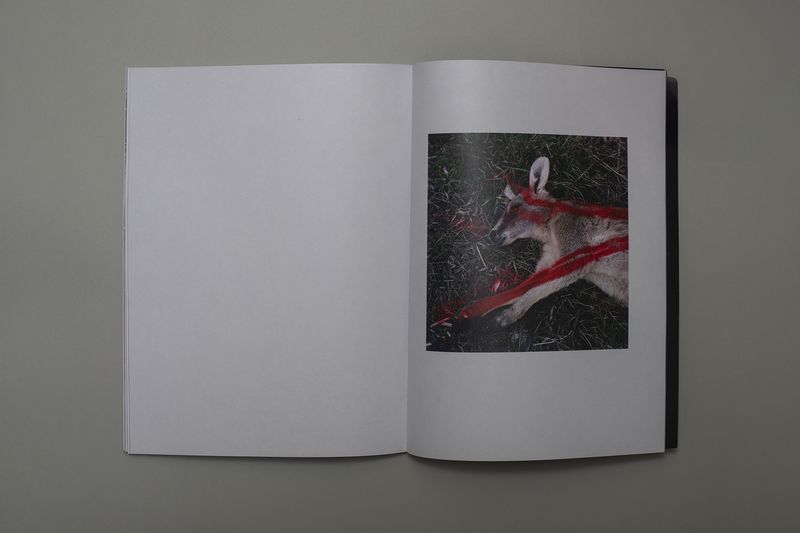 Image from a project on PhMuseum