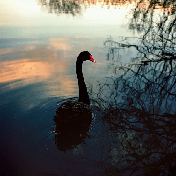 © Erin Lee - Image from the The Crimson Thread photography project