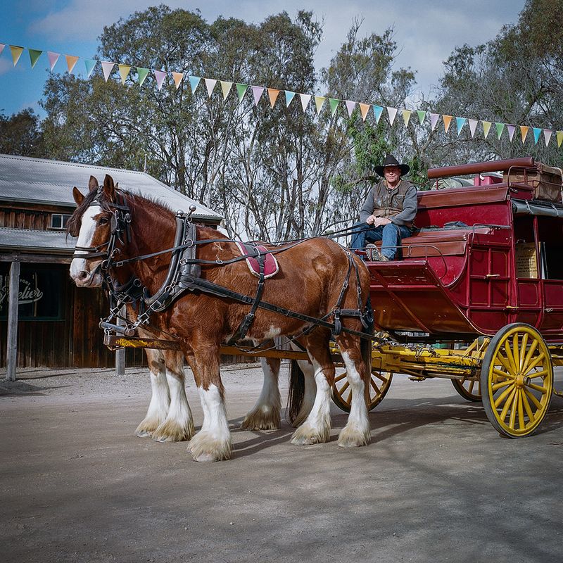 © Erin Lee - Image from the The Crimson Thread photography project