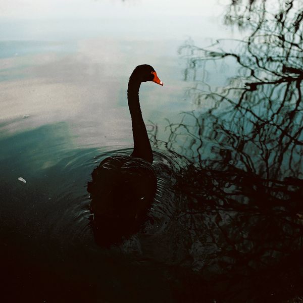 © Erin Lee - Image from the The Crimson Thread photography project