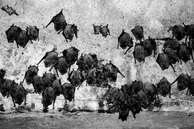 © Erin Lee - Image from the Legal Fiction photography project