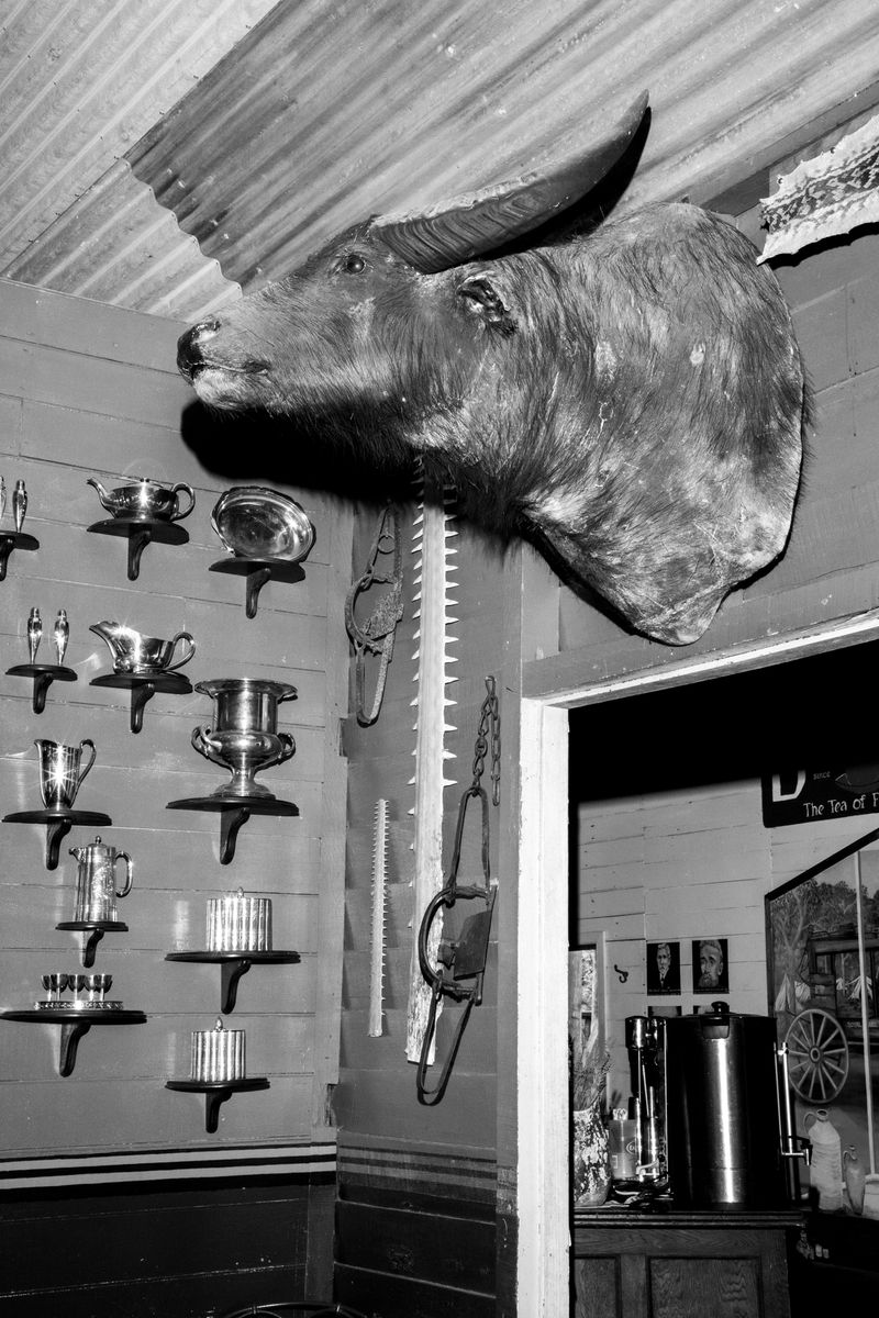 © Erin Lee - Image from the Legal Fiction photography project