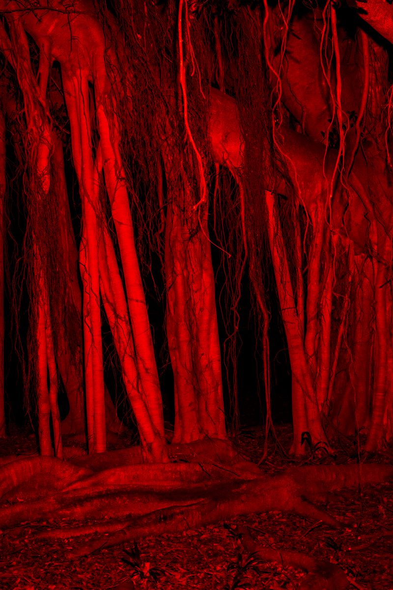 © Erin Lee - Image from the Legal Fiction photography project