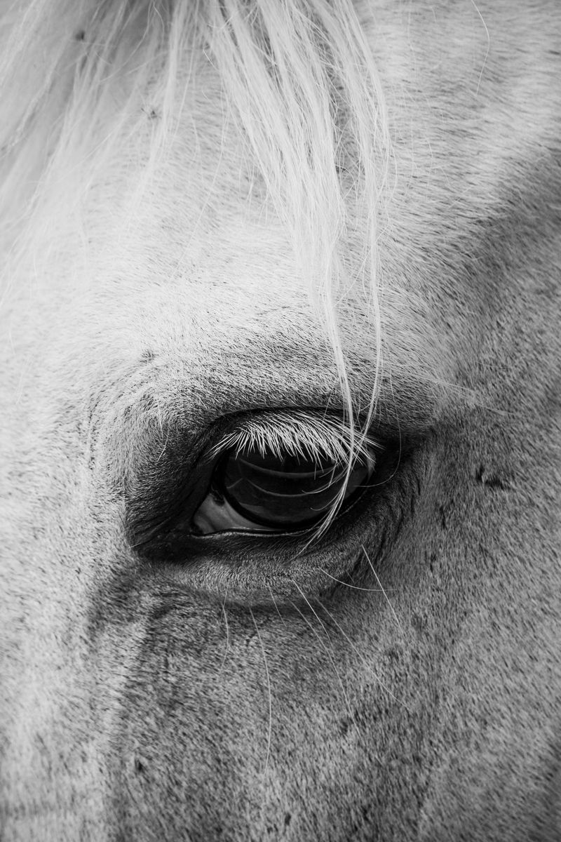 © Erin Lee - Image from the Legal Fiction photography project