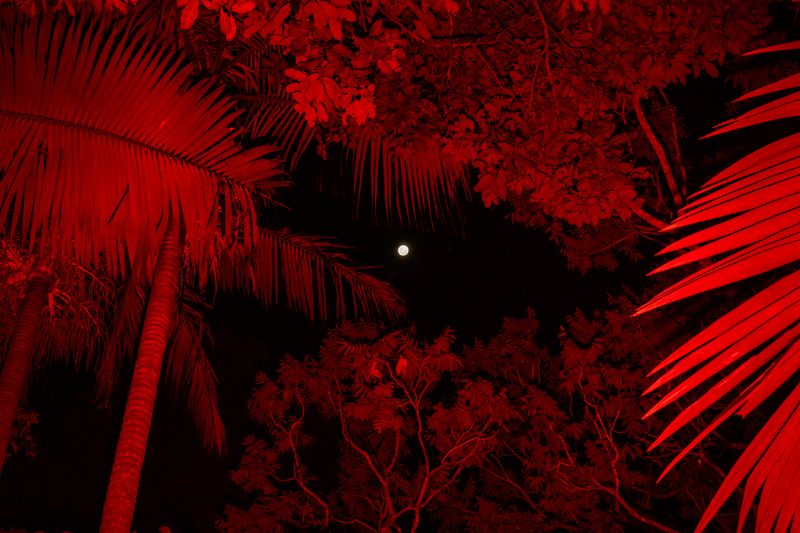 © Erin Lee - Image from the Legal Fiction photography project