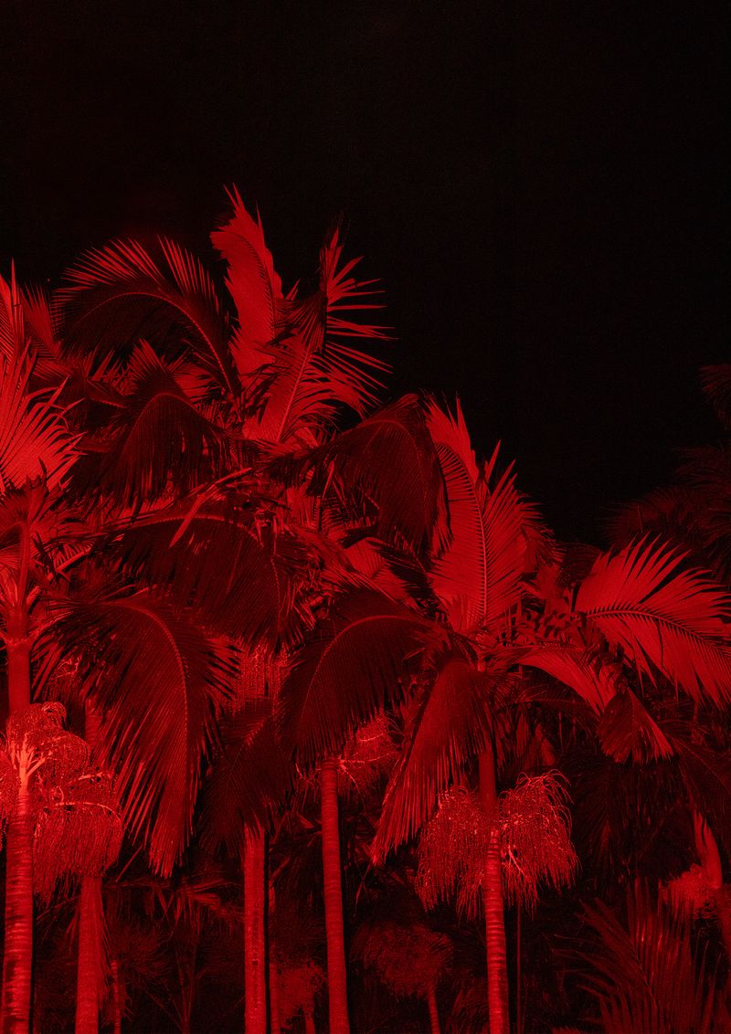 © Erin Lee - Image from the LEGAL FICTION photography project