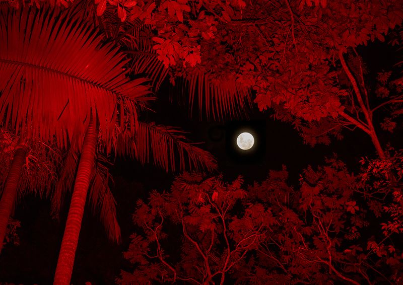 © Erin Lee - Image from the LEGAL FICTION photography project