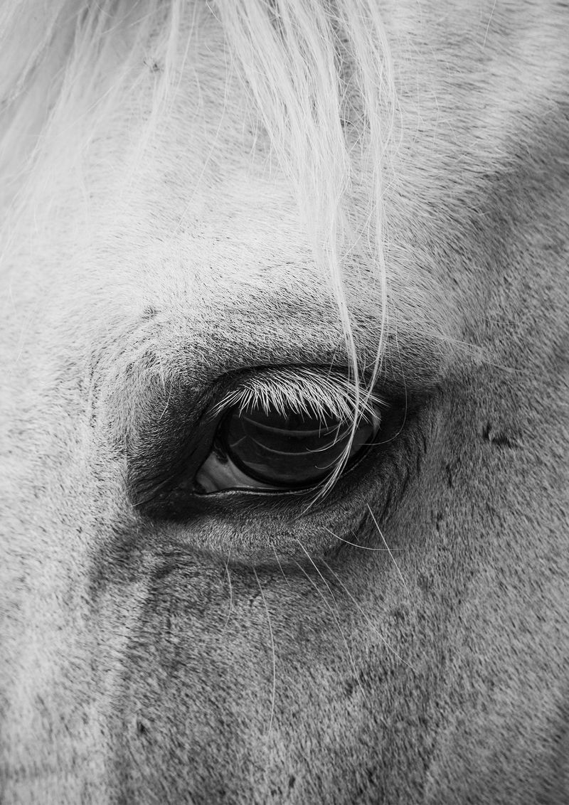 © Erin Lee - Image from the LEGAL FICTION photography project