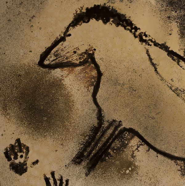 © Roberto Fernández Ibáñez - Image from the THE HAND (In the Red Cave) photography project