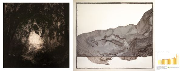 © Roberto Fernández Ibáñez - Image from the TO SAVE A FOREST photography project