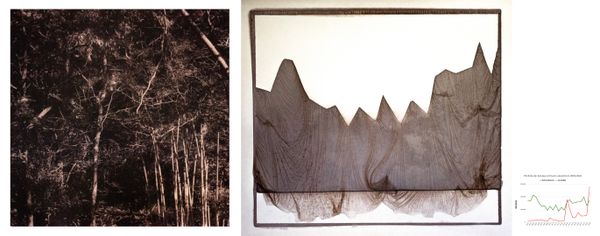 © Roberto Fernández Ibáñez - Image from the TO SAVE A FOREST photography project