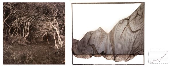 © Roberto Fernández Ibáñez - Image from the TO SAVE A FOREST photography project