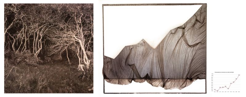 © Roberto Fernández Ibáñez - Image from the TO SAVE A FOREST photography project