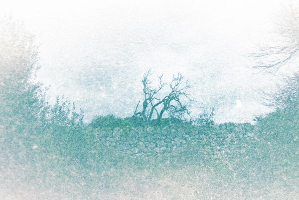 © Elie Monferier - Image from the Insula photography project