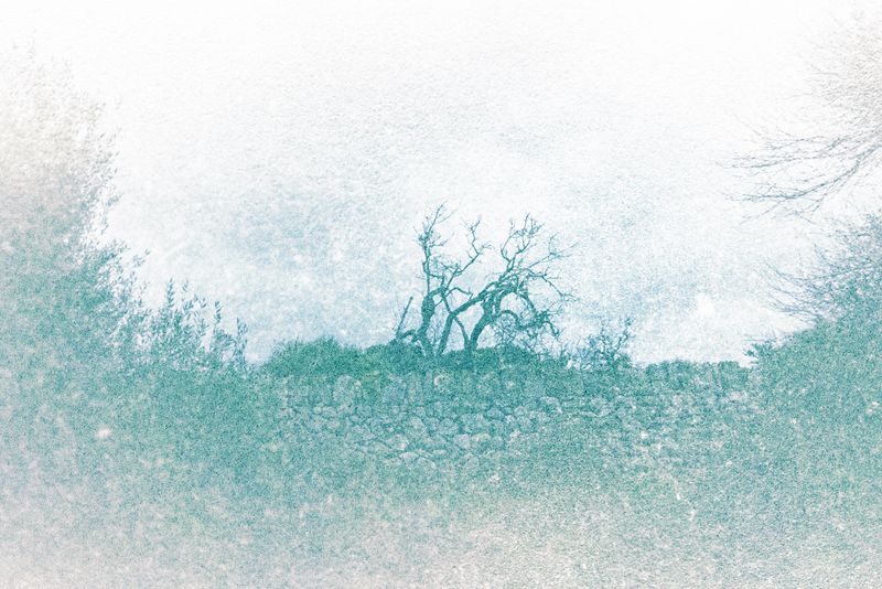 © Elie Monferier - Image from the Insula photography project
