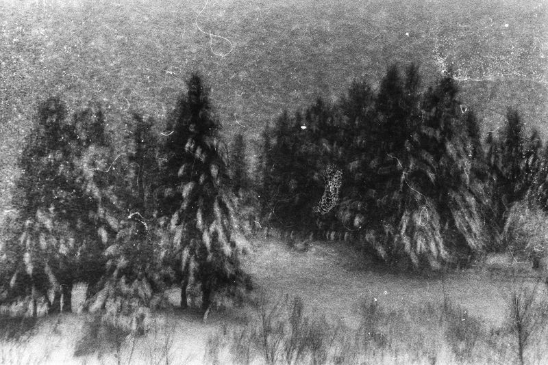 © Elie Monferier - Image from the Insula photography project