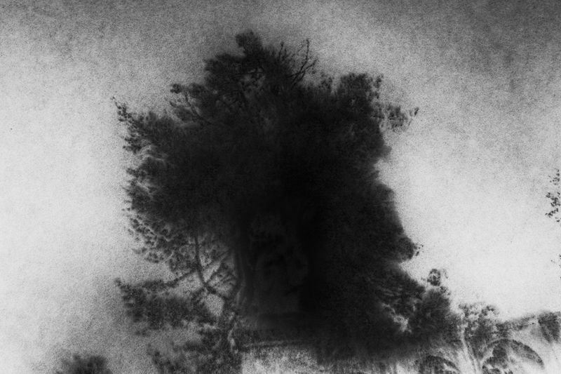 © Elie Monferier - Image from the SANCTUAIRE photography project